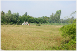 Field Graves.