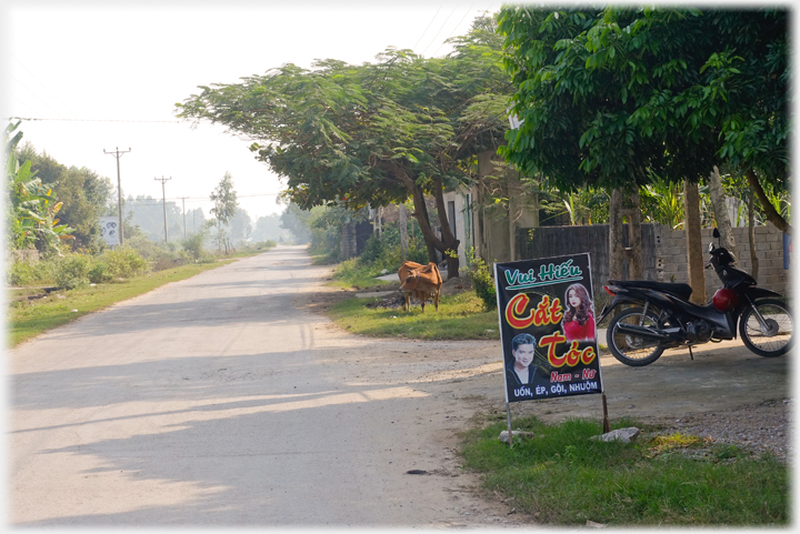 Road to the Beach