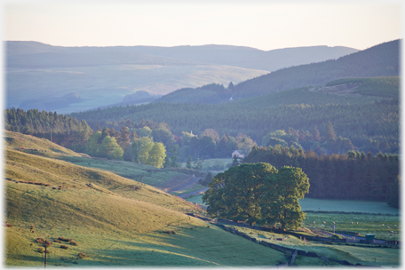 Morning at a bend of the Esk