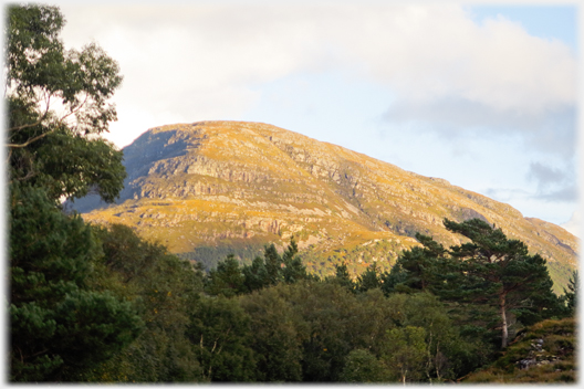 Hill with many rock faces above trees.