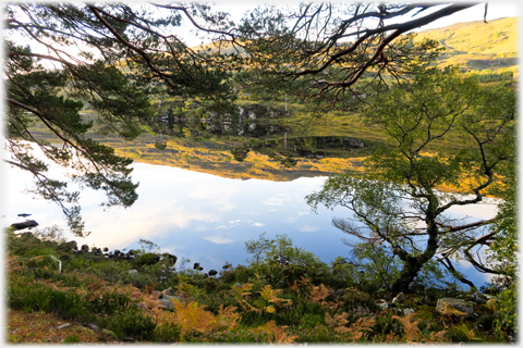 Looking across the still waters of the loch.