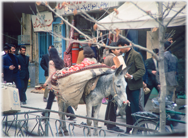 Pomegranate sales with donkey.