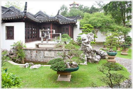 House with many bonsai.