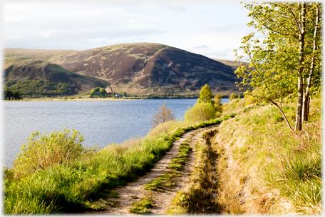 Track by the Loch.