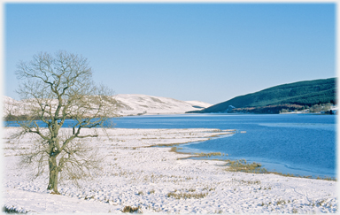 Near Cappercleuch.