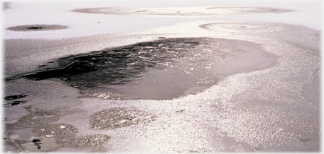 Ice on the loch.