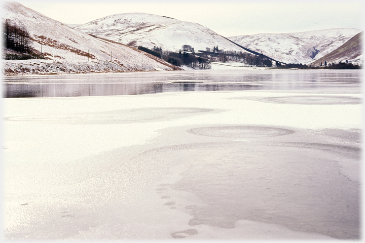 Loch of the Lowes and surrounding hills.