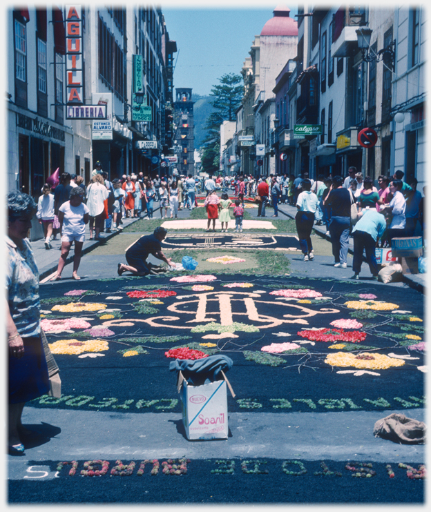 Flower carpet on main road.