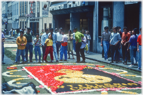 Tourists admiring the flower carpets.