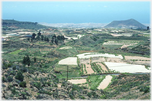 Fields behind the urban sprawl.