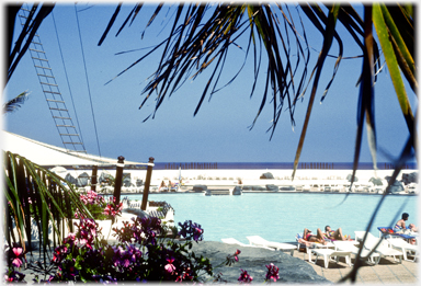 Palm lined pool by the sea.