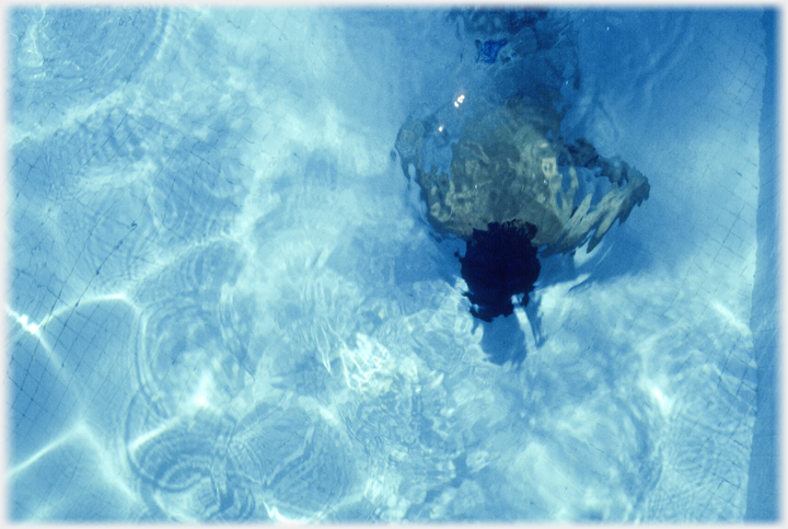 Underwater swimmer in clear pool.