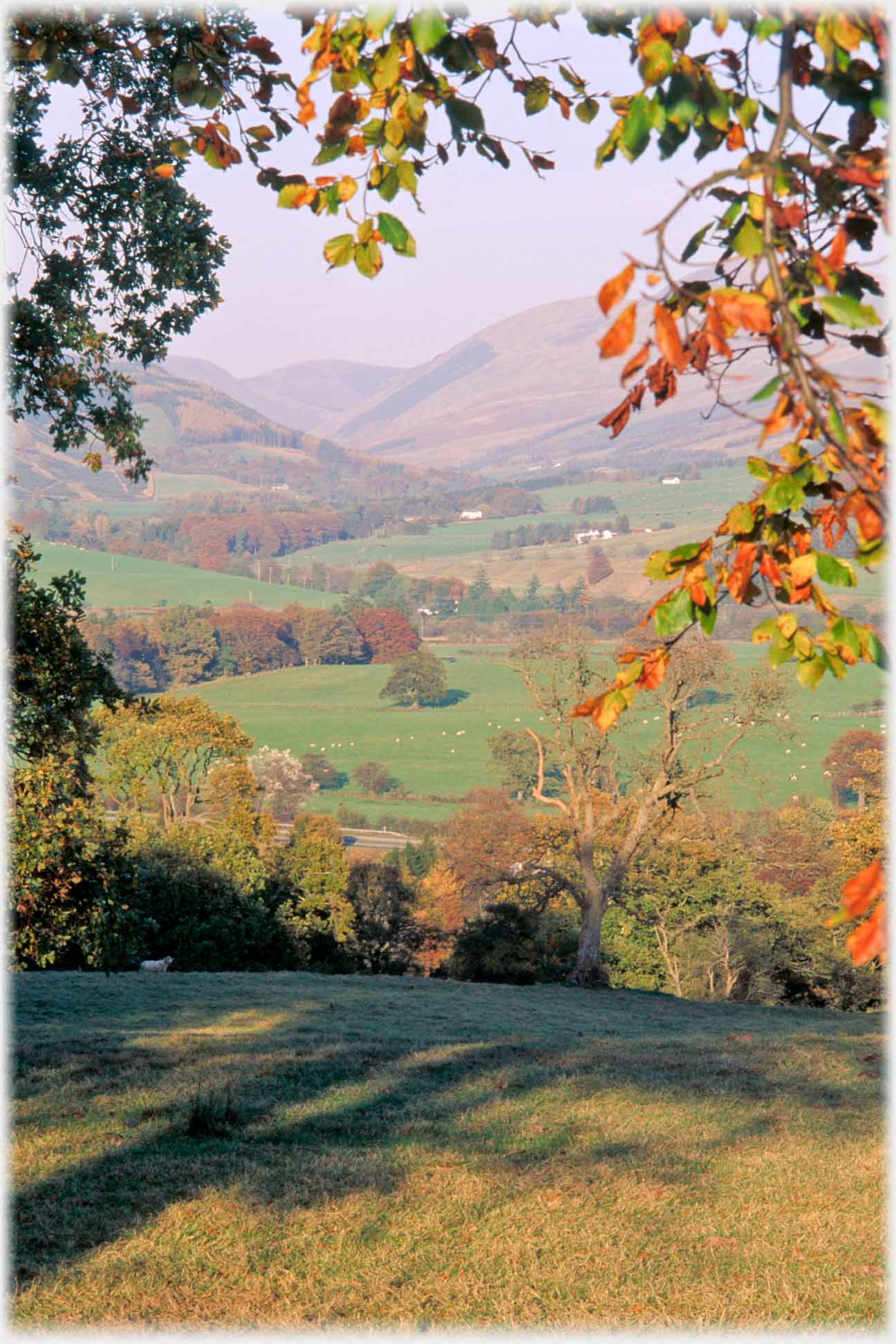 Autumn view looking up valley.