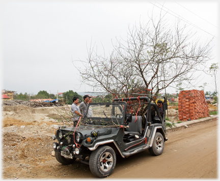 Jeep with large tree rising out of it.