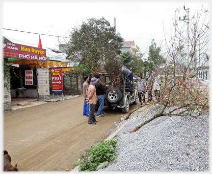 Group standing round while trees are being loaded into the Jeep.