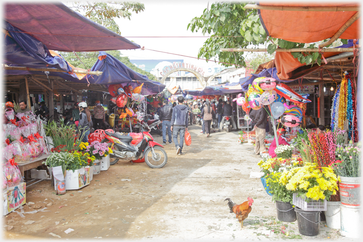 Apporach to main market entrance lined with stalls.