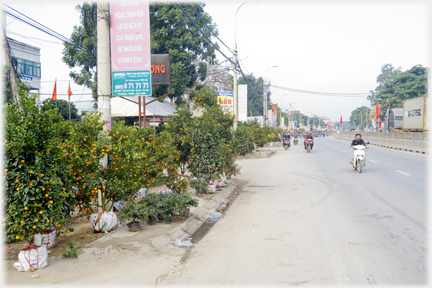 Another view of the road, this one with the barrier and trees on the side running into the distance.