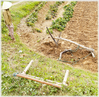 Plough harness.