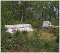 Tombs in the woods.