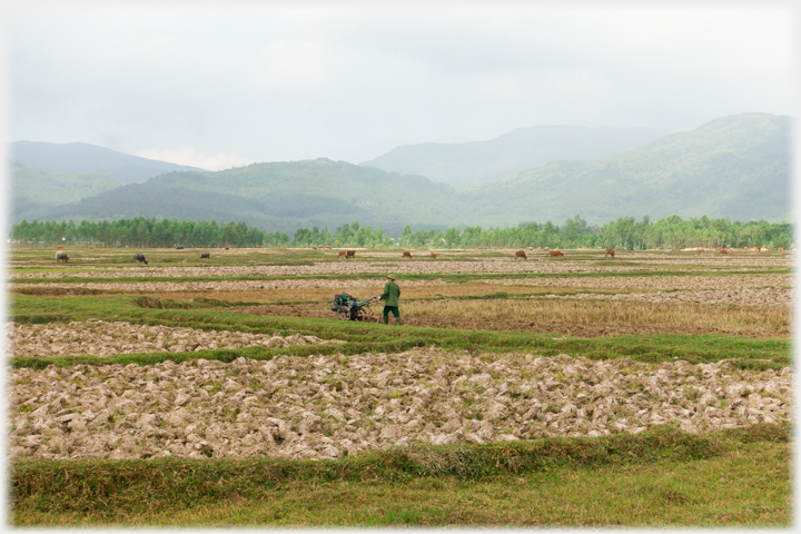 Motor plough