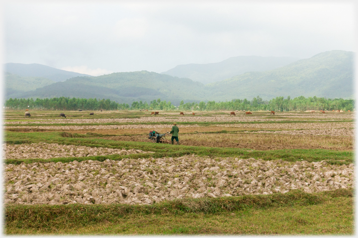 Motor plough