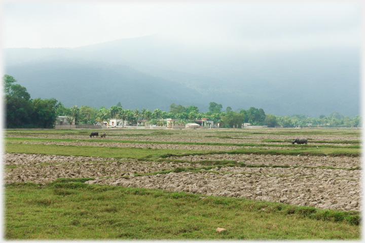 Fields beside village.