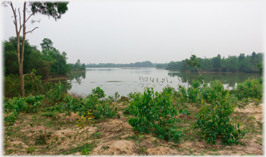 Scrub land beside reservoir.