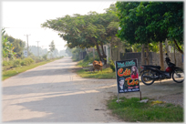 The road to the beach.