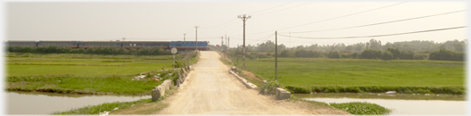 Train passing crossing.