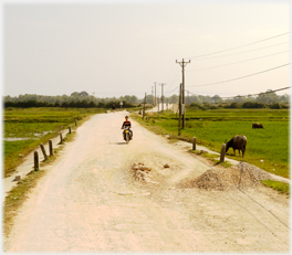 Bad road by railway.