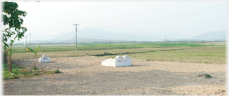 Tombs by the road.