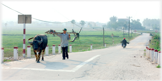 Man carrying plough.