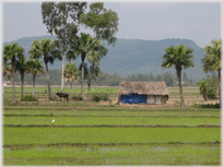 Along the road to Thanh Cong village.