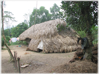 Thatched house.