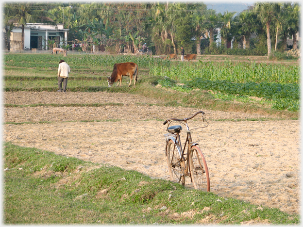 Bicycle and man.