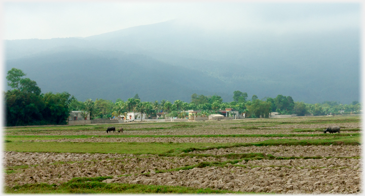 Thanh Cong Village.