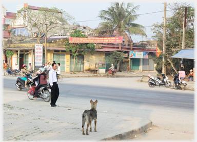 Dog looking across the highway, man standing.