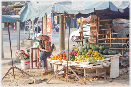 Woman sitting by temporary looking fruit stall 