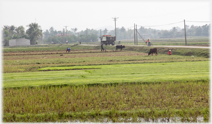 Fields with raised roadway on which a truck is passing.