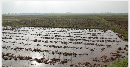 Waterlogged ploughed field.