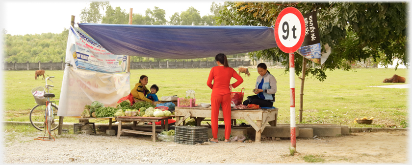 The vegetable and meat stall closer with women shoppers and stall-holder.