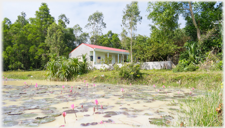 One of the pagoda buildings on the shore of the lake with lotuses in the shallow water.