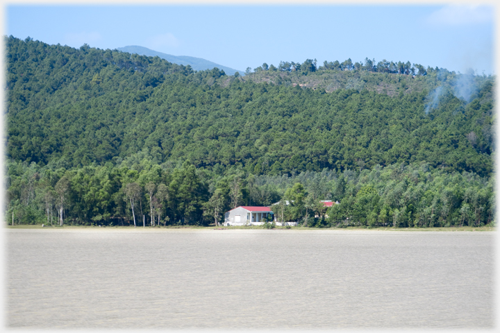 Woods running down to the lake shore with a building at the centre of the image.