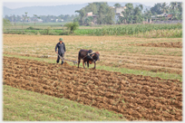 Man ploughing field, town in background.