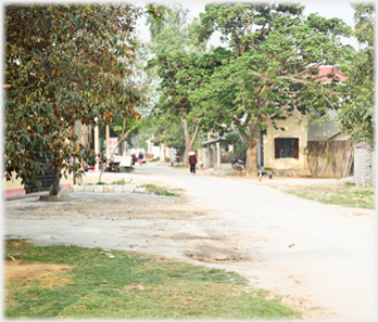 The road where the shops have stopped and trees take over.