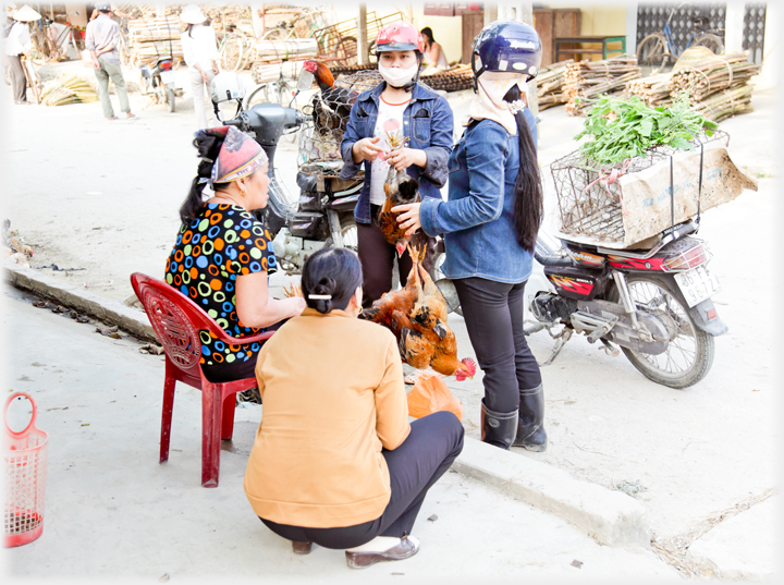 Two women stand holding hens by their legs, their motorbikes with cages behind them, talking to two potential women customers.