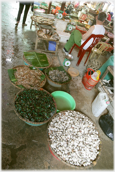 Prawns and cockles.