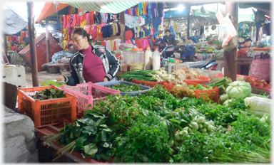 Woman selling vegetables.