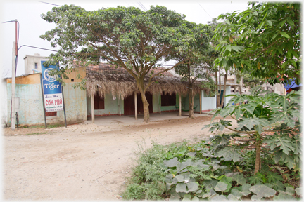 Old thatched cafe with trees.