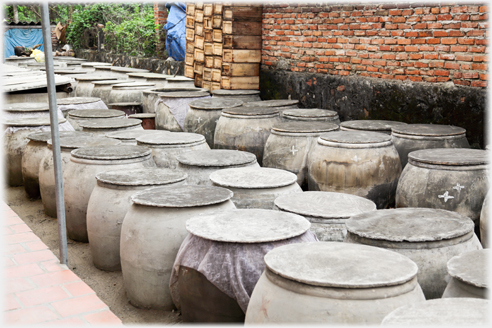 Forty or so of those barrels standing in a yard.